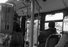 Bologna. Raccolta firme di FdI contro “bus gratis a migranti”, ma non c’è nessuna gratuità per i migranti che si servono del bus