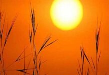Allerta caldo, attivato il Centro Operativo Comunale. Scuole, anziani, eventi, rifugi climatici. Le azioni del Comune