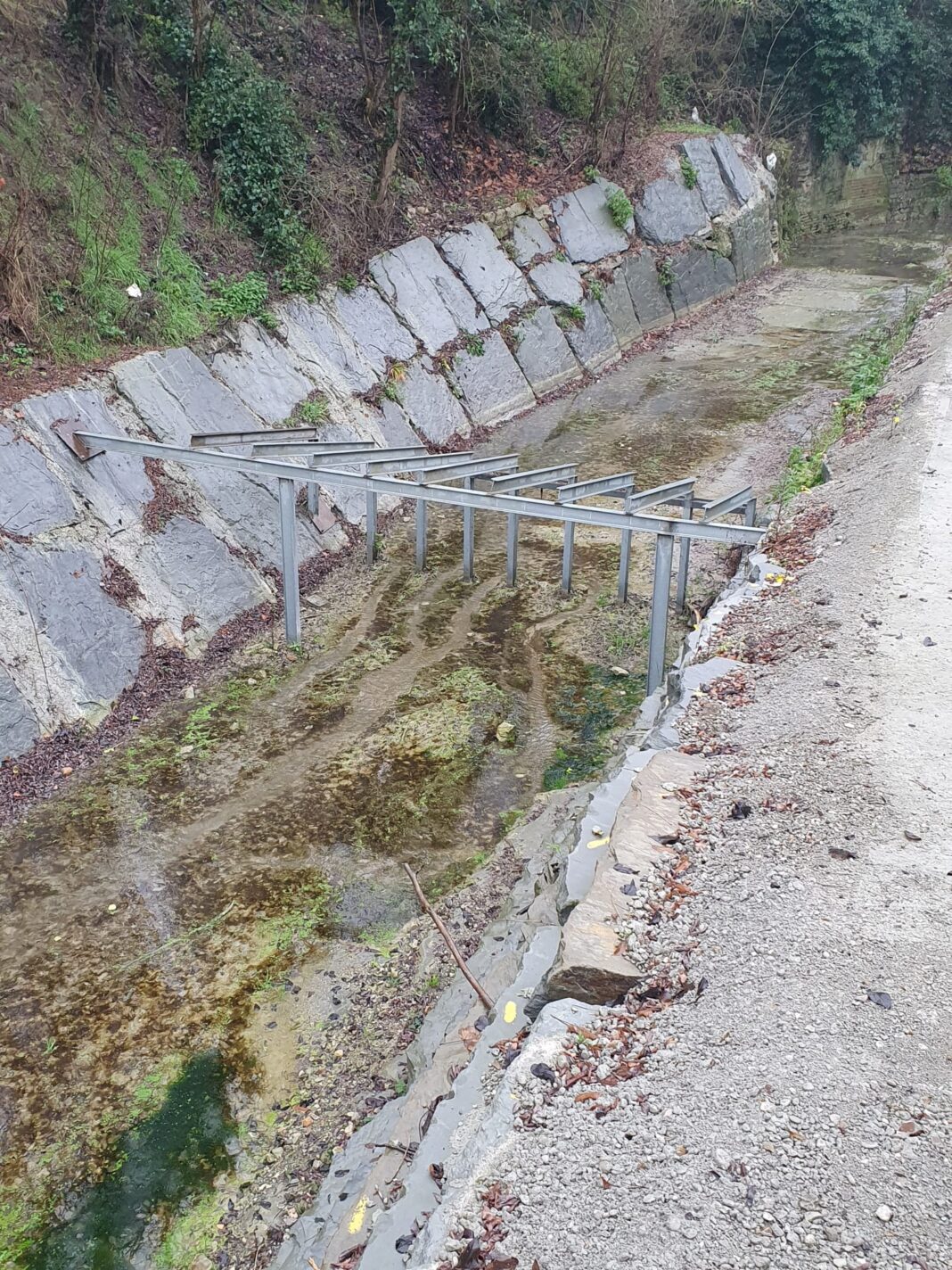 Bologna 2025 - 54 Meteo Allerta