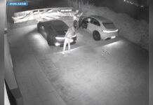 Bologna. Arrestato dalla Polizia di Stato un uomo gravemente indiziato di rapina aggravata in abitazione con sequestro di persona