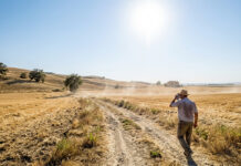 Ondate di calore: Numero Verde gratuito attivo dal 1° giugno