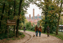 Forestazione. Emilia-Romagna sempre più verde: dalla Regione 800mila euro per nuovi boschi urbani e periurbani